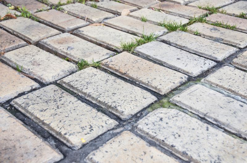Brick Flatwork Repair in Palm Harbor, FL