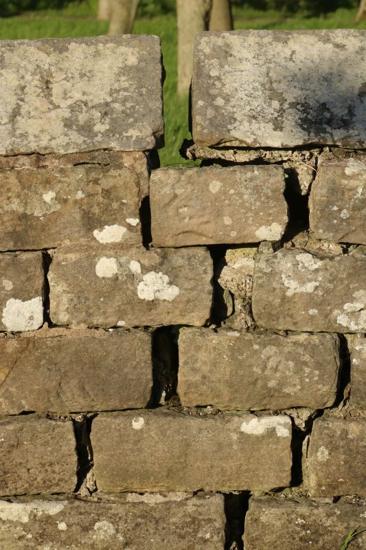 Stone Wall Repair in Largo, FL